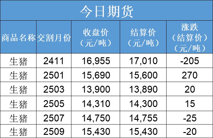 每日猪讯11.12